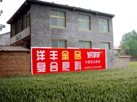 许昌如何让墙体广告展现最大化效果
