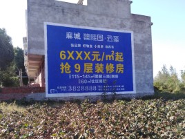 许昌品牌公司青睐的墙体广告