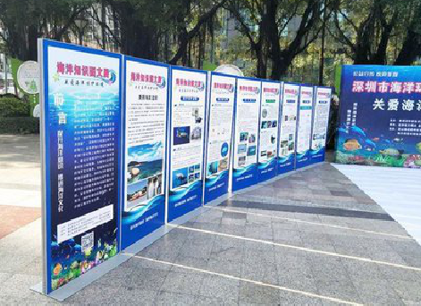 许昌KT板的种类和知识。